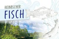 fisch
